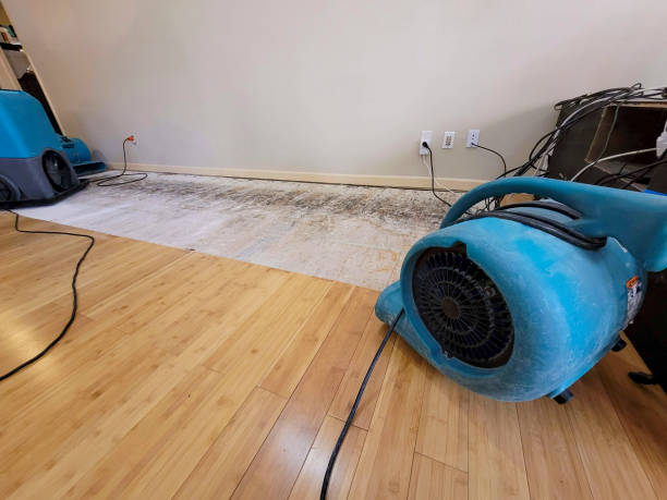 Professional Ceiling Water Damage Repair technician working in Elizabethville, PA